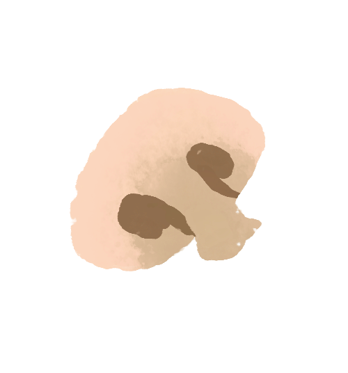 fresh and fruity illustration of a button mushroom
